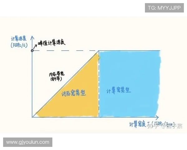 杭州排球队的节奏解析与排球热点的深度探讨